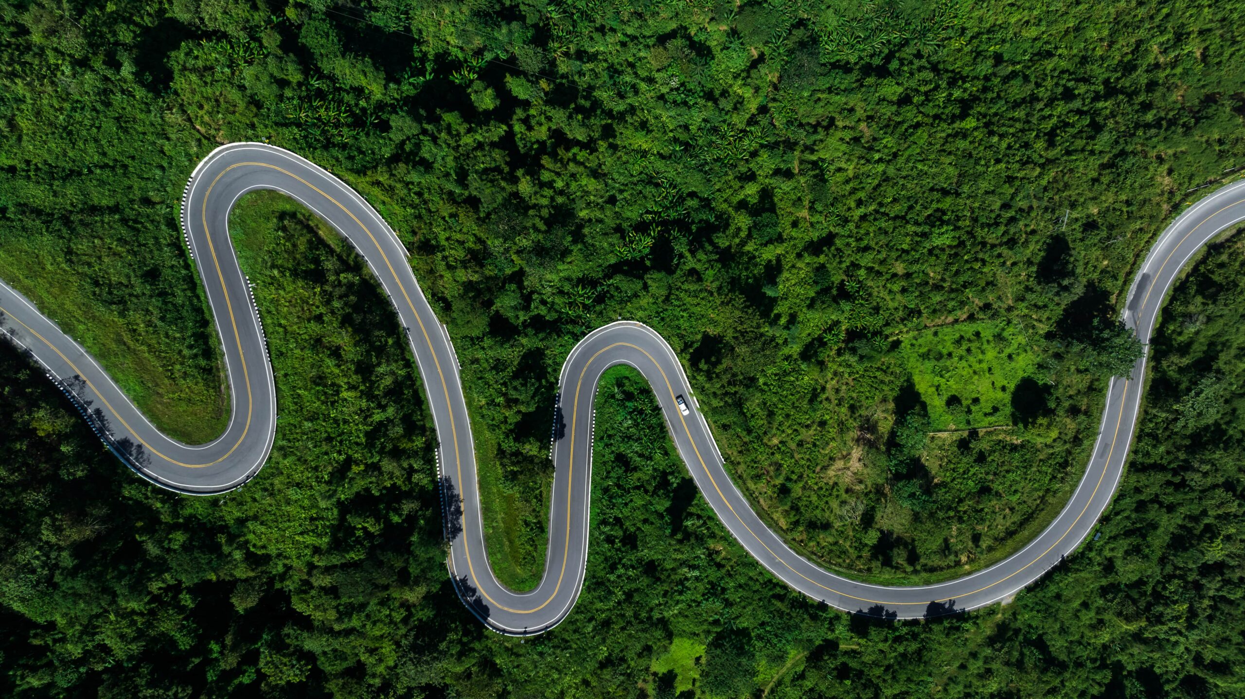 Chemin sinueux dans la nature, symbole du parcours pour vivre en accord avec soi même.