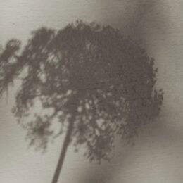 Troubles psychosomatiques : comment les reconnaître et s’en libérer ?