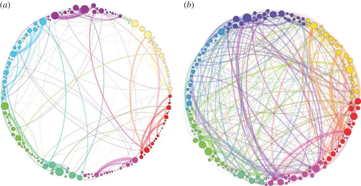 Visualisation des connexions cérébrales sous l'effet de la psilocybine.Par G. Petri, P. Expert, F. Turkheimer, R. Carhart-Harris, D. Nutt, P. J. Hellyer et F. Vaccarino.